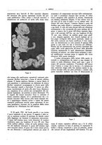 giornale/TO00191585/1942/unico/00000075