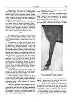 giornale/TO00191585/1943/unico/00000179