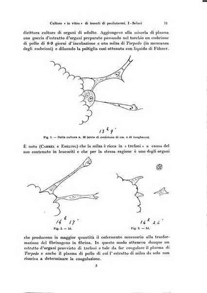 Pubblicazioni della Stazione zoologica di Napoli