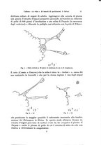 giornale/TO00191807/1928/v.9/00000021