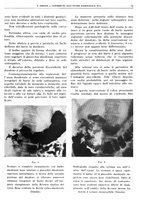 giornale/TO00191959/1938/V.1/00000077