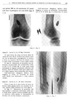 giornale/TO00191959/1938/V.1/00000133