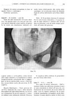 giornale/TO00191959/1938/V.1/00000229