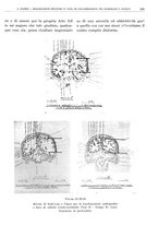 giornale/TO00191959/1938/V.1/00000313