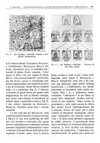 giornale/TO00191959/1938/V.2/00000017