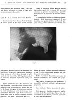 giornale/TO00191959/1939/unico/00000017
