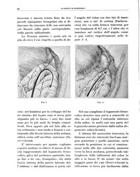 Quaderni di radiologia rivista di collaborazione clinico-radiologica fondata da M. Lapenna