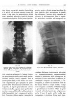 giornale/TO00191959/1939/unico/00000247