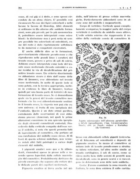 Quaderni di radiologia rivista di collaborazione clinico-radiologica fondata da M. Lapenna