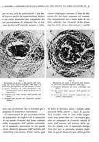 giornale/TO00191959/1940/unico/00000053