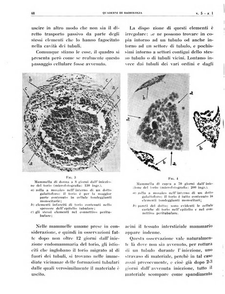 Quaderni di radiologia rivista di collaborazione clinico-radiologica fondata da M. Lapenna