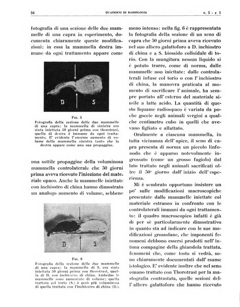 Quaderni di radiologia rivista di collaborazione clinico-radiologica fondata da M. Lapenna