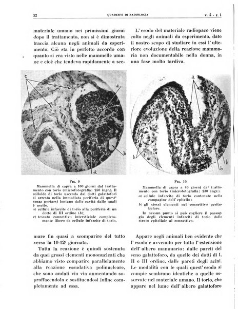 Quaderni di radiologia rivista di collaborazione clinico-radiologica fondata da M. Lapenna