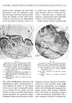 giornale/TO00191959/1940/unico/00000061