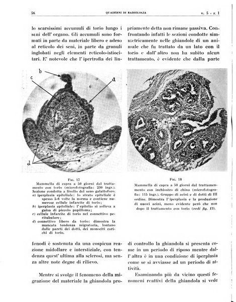 Quaderni di radiologia rivista di collaborazione clinico-radiologica fondata da M. Lapenna