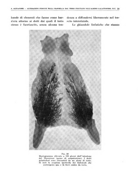 Quaderni di radiologia rivista di collaborazione clinico-radiologica fondata da M. Lapenna