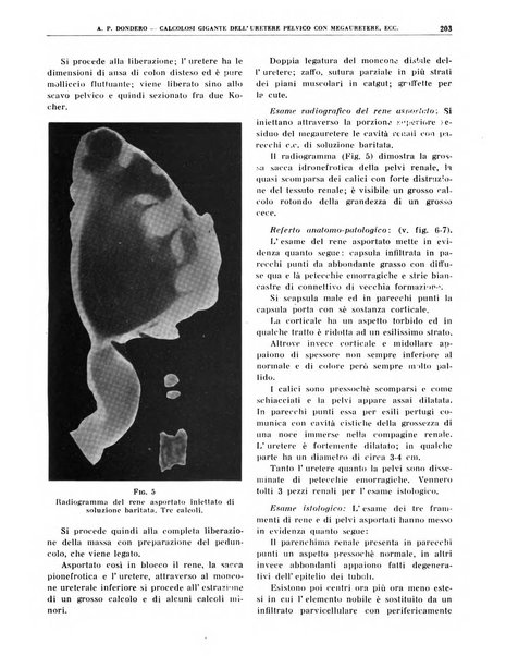 Quaderni di radiologia rivista di collaborazione clinico-radiologica fondata da M. Lapenna