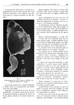 giornale/TO00191959/1940/unico/00000215