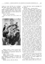 giornale/TO00191959/1940/unico/00000223