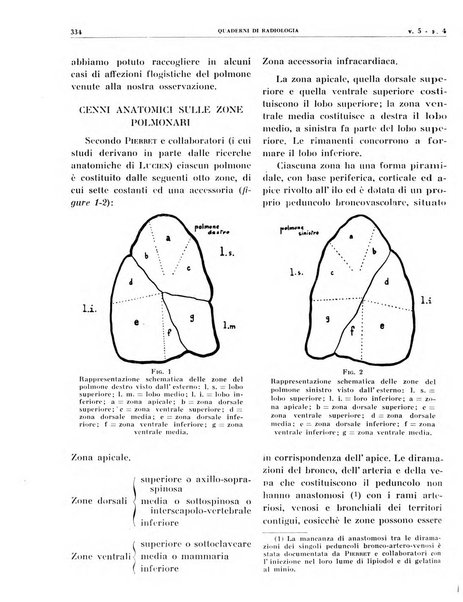 Quaderni di radiologia rivista di collaborazione clinico-radiologica fondata da M. Lapenna