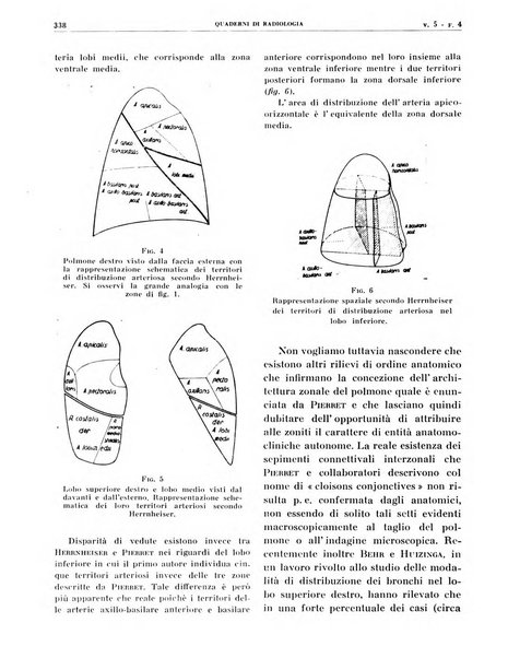 Quaderni di radiologia rivista di collaborazione clinico-radiologica fondata da M. Lapenna