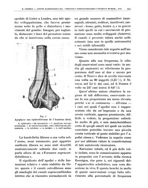 Quaderni di radiologia rivista di collaborazione clinico-radiologica fondata da M. Lapenna