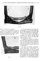 giornale/TO00191959/1940/unico/00000399