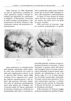 giornale/TO00191959/1941/unico/00000039