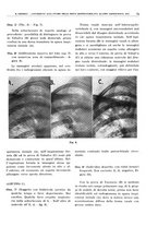 giornale/TO00191959/1941/unico/00000087