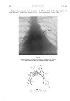 giornale/TO00191959/1941/unico/00000150