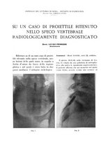 giornale/TO00191959/1941/unico/00000308