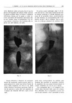 giornale/TO00191959/1941/unico/00000309