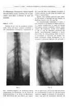 giornale/TO00191959/1941/unico/00000367