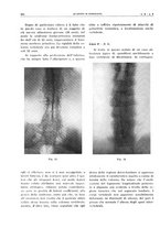 giornale/TO00191959/1941/unico/00000374