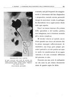 giornale/TO00191959/1941/unico/00000411