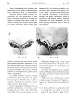 giornale/TO00191959/1942/unico/00000190