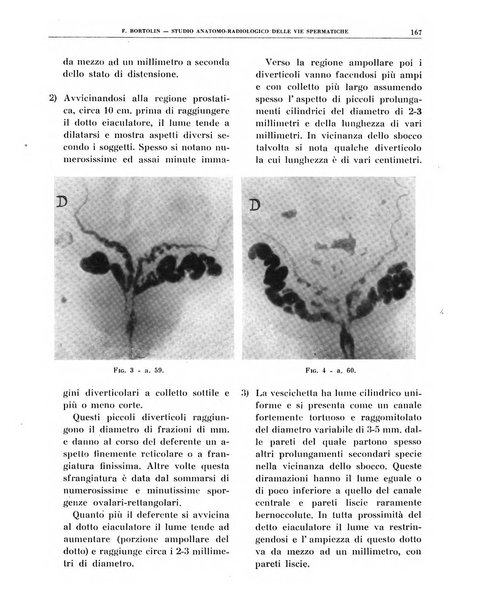 Quaderni di radiologia rivista di collaborazione clinico-radiologica fondata da M. Lapenna