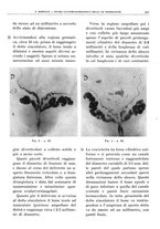 giornale/TO00191959/1942/unico/00000191