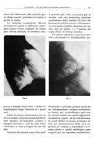 giornale/TO00191959/1942/unico/00000201