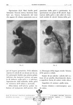 giornale/TO00191959/1942/unico/00000218