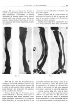 giornale/TO00191959/1942/unico/00000243