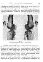 giornale/TO00191959/1942/unico/00000255