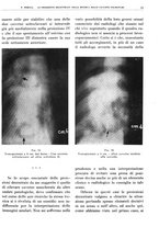 giornale/TO00191959/1943-1944/unico/00000023