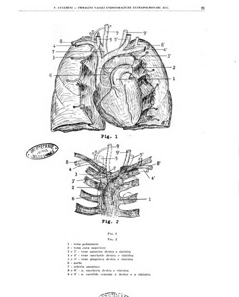 Quaderni di radiologia rivista di collaborazione clinico-radiologica fondata da M. Lapenna