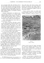 giornale/TO00191959/1943-1944/unico/00000125