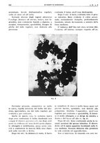 giornale/TO00191959/1943-1944/unico/00000176