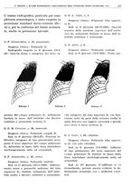 giornale/TO00191959/1943-1944/unico/00000191