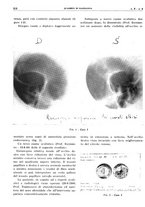 giornale/TO00191959/1943-1944/unico/00000236