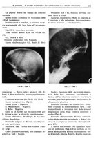 giornale/TO00191959/1943-1944/unico/00000237