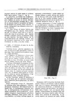 giornale/TO00191959/1945-1946/unico/00000017